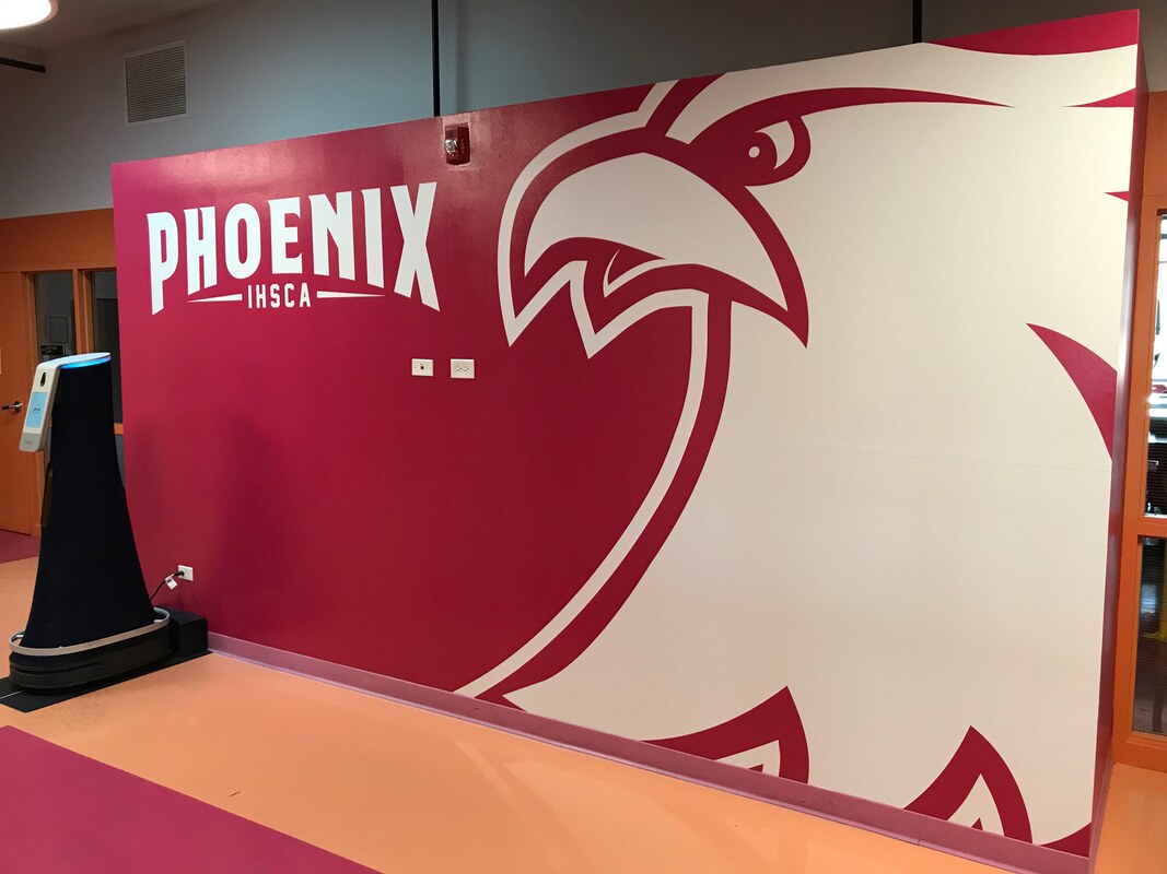 School Rebrand design branding instituto phoenix bannerville graphic design