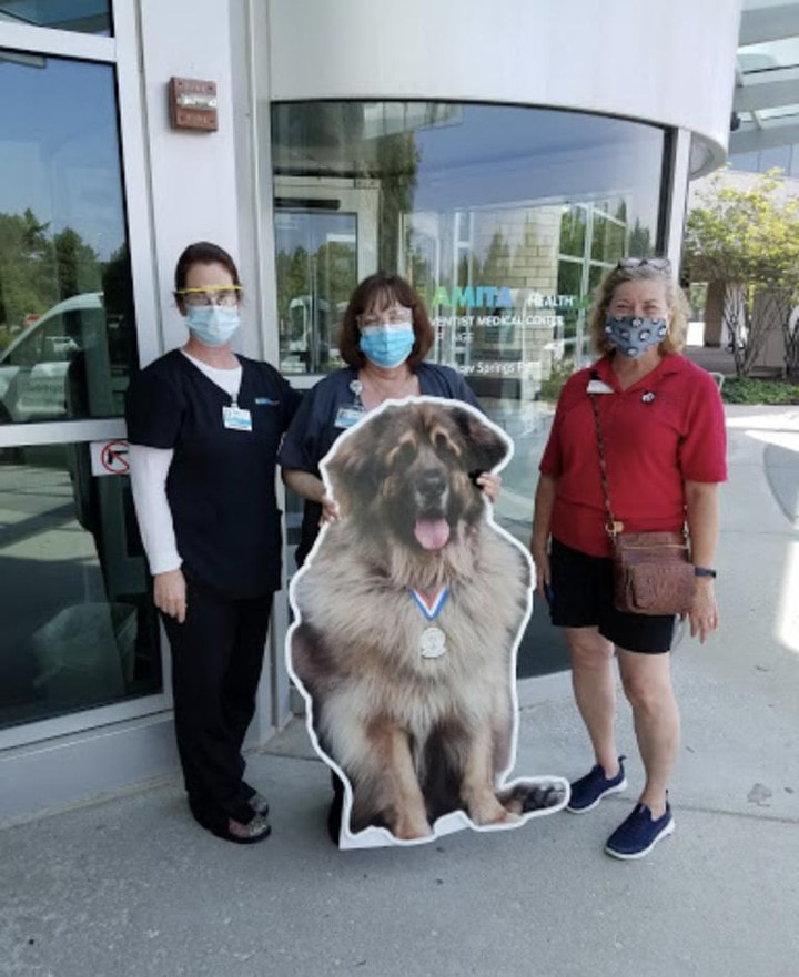 Nonprofit Signs, Hinsdale Humane Society, Life size dog cut out stand up