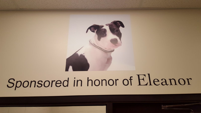 Hinsdale Humane Society, Nonprofit signage, Wall graphics, sponsor and honor wall
