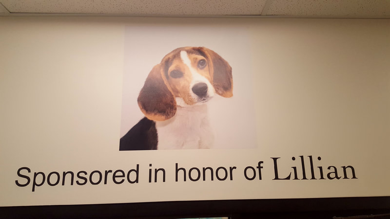 Hinsdale Humane Society, Nonprofit signage, Wall graphics, sponsor and honor wall
